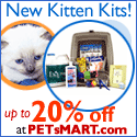 Kitten Kits