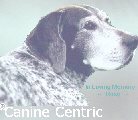 Dog help online